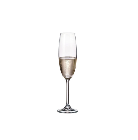 CHAMPAGNE FLUTES 220ml Clara